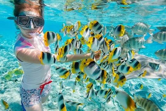 Schnorchler beim Schwimmen mit bunten tropischen Fischen in Safaga, Ägypten