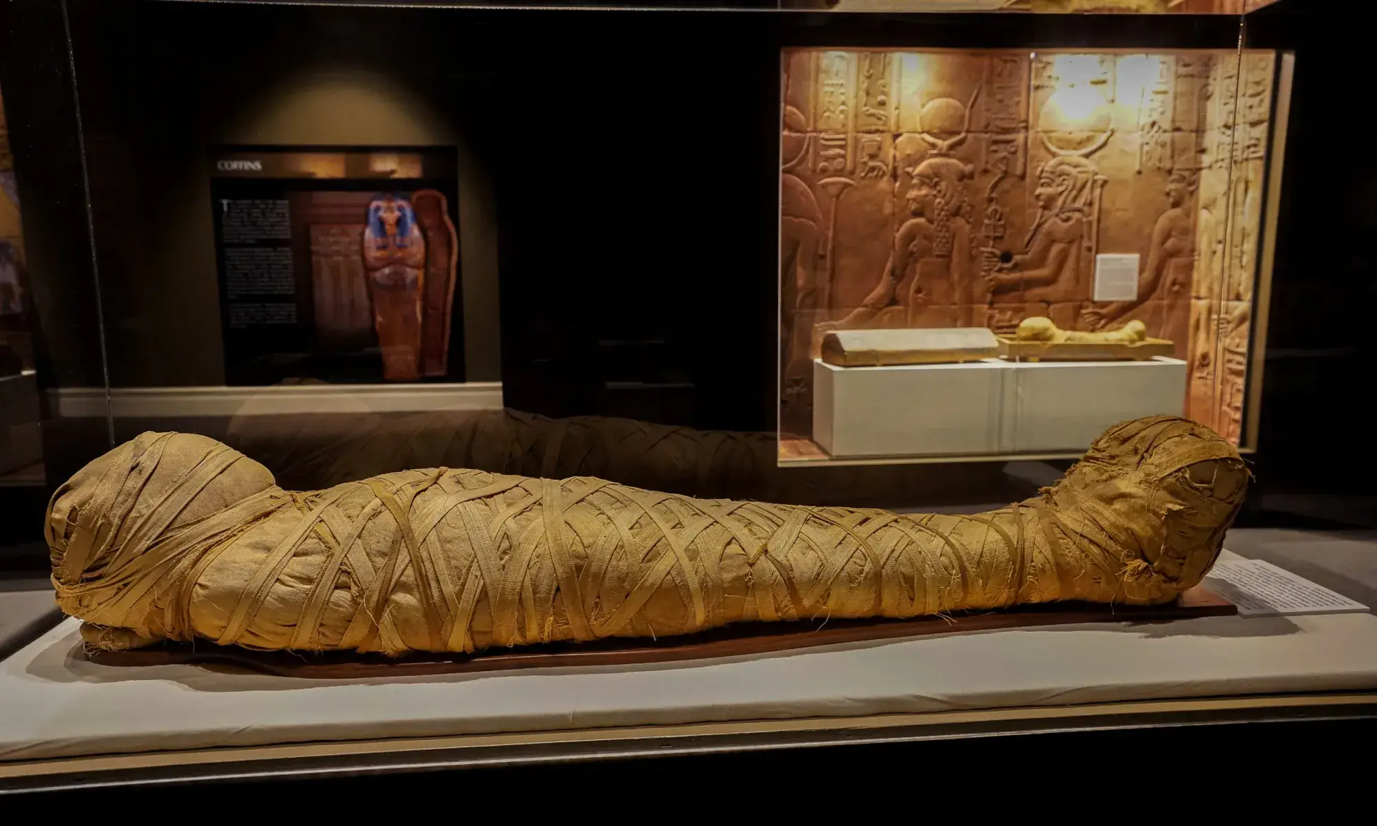 Visit Mummification Museum Luxor East Bank