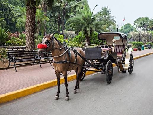 Traditionelle Pferdekutschenfahrt durch Assuan, Ägypten