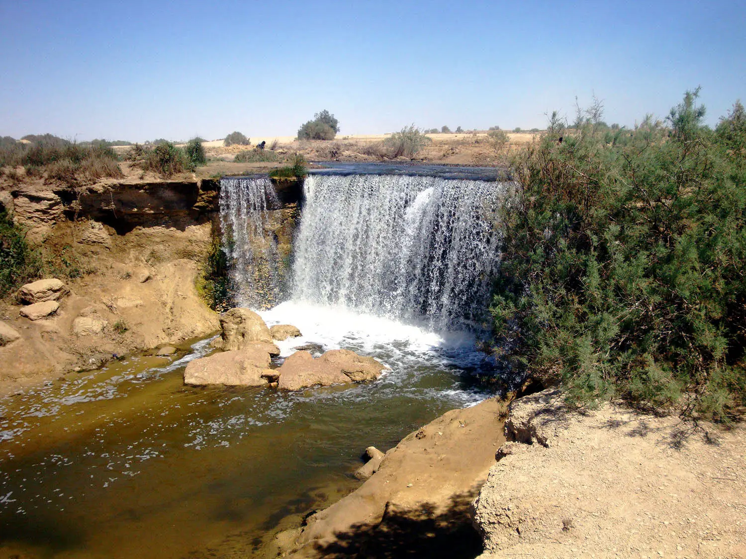 Wadi El Rayan Day Tour from Cairo