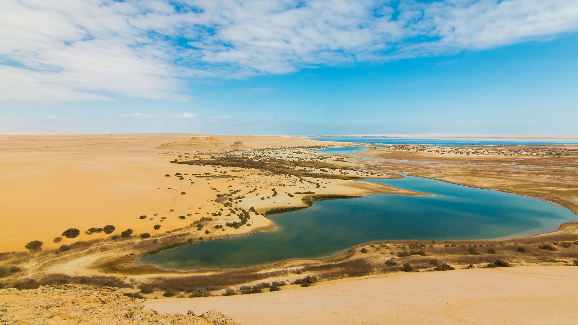 Lake Qarun Egypt Day Tours