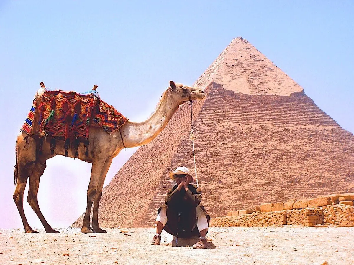 Enjoy Private Camel Ride at Giza