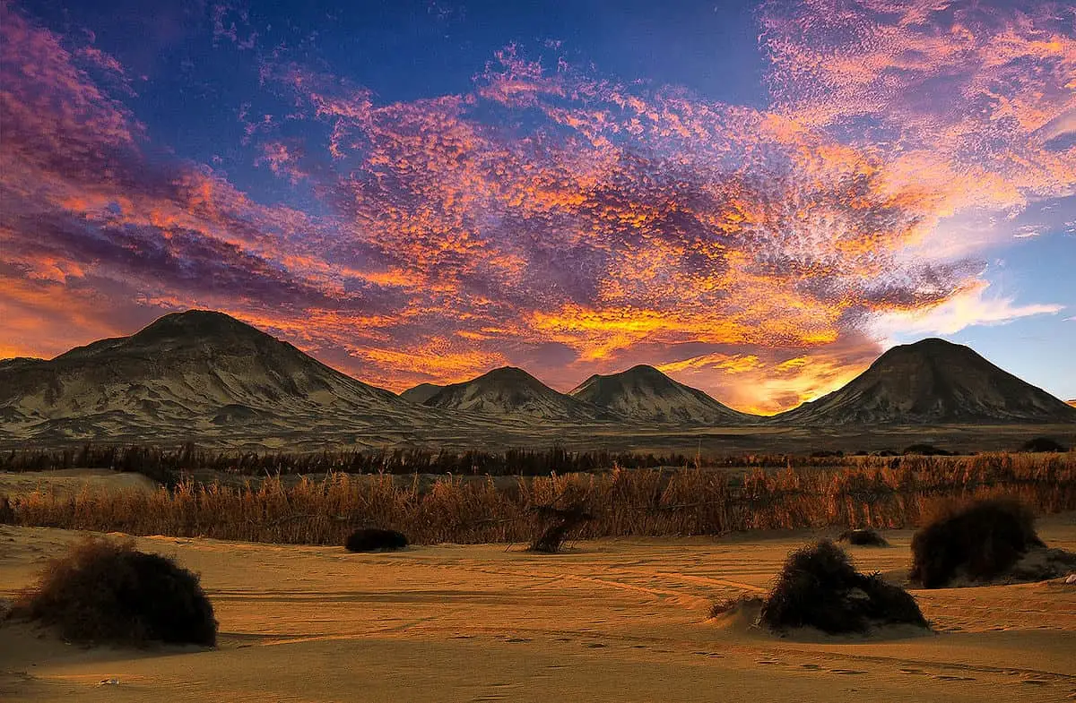 Black Desert and White Desert tour