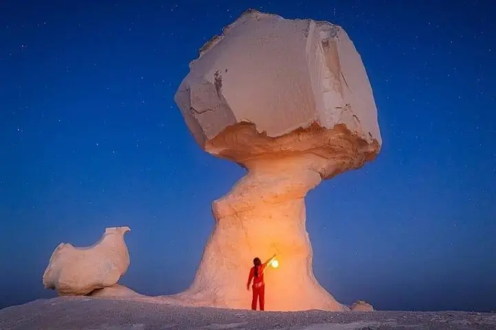Bahariya Oasis overnight safari