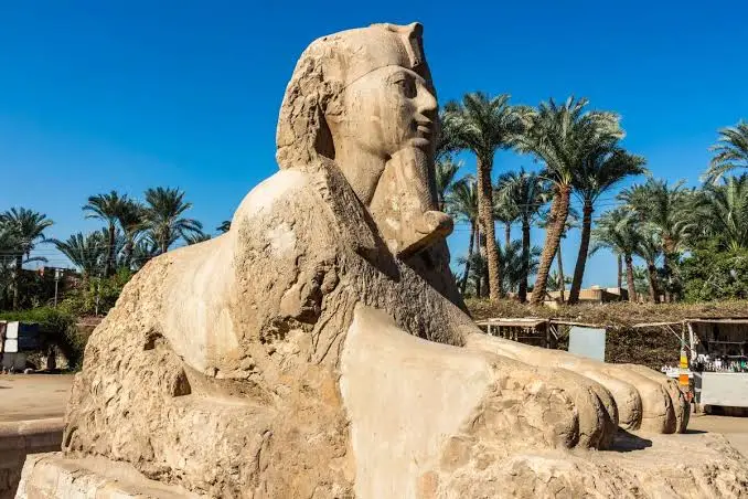 Saqqara Memphis Tour Experience from Cairo