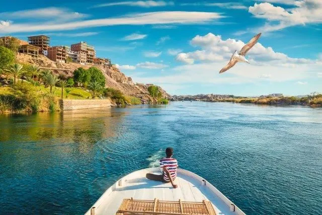Aswan bird watching tour
