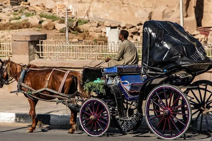 Aswan Horse Carriage Tour