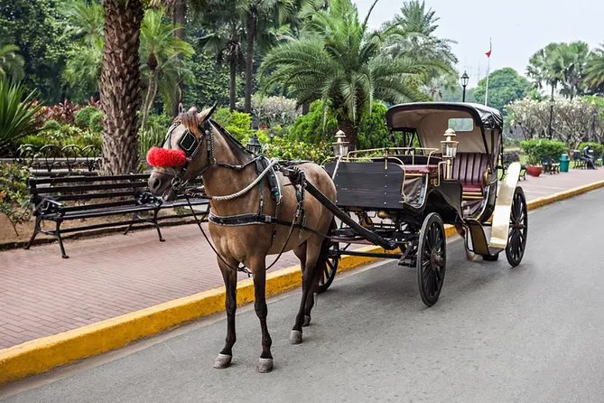 Horse and Carriage Aswan Egypt