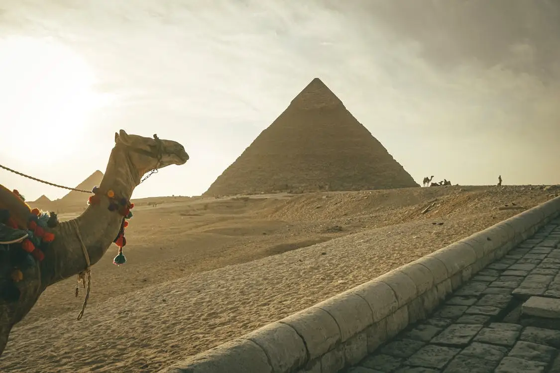 Half day Giza Pyramids tour