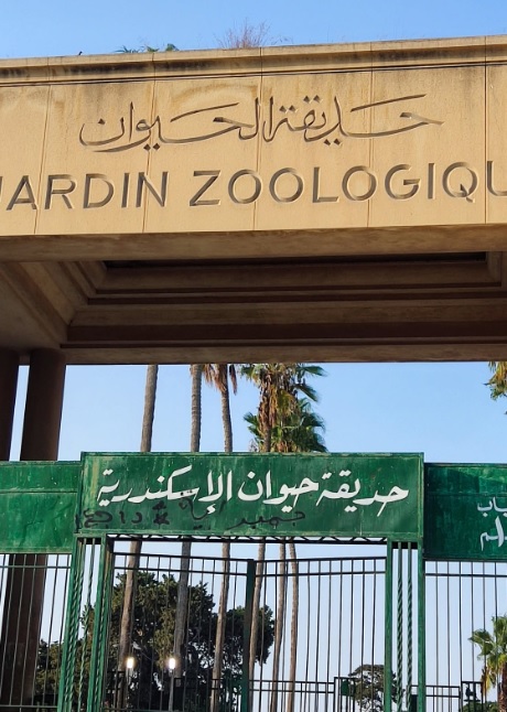 The main entrance gate of Alexandria Zoo with Arabic and French signage.