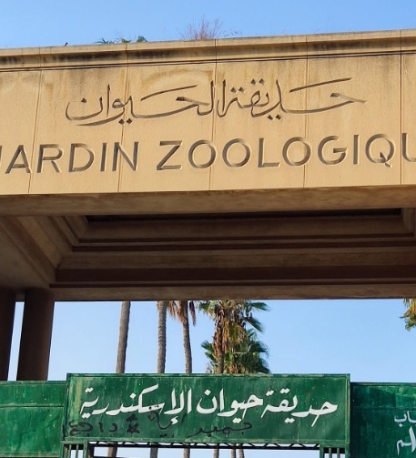 La puerta de entrada principal del zoológico de Alejandría con carteles en árabe y francés.