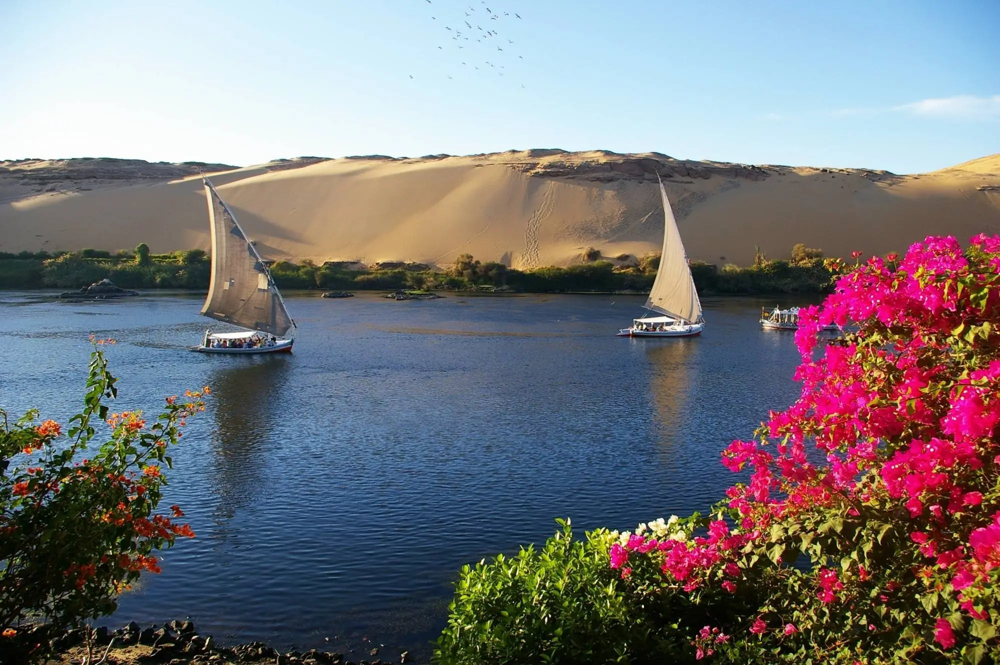 Enjoy a Nile felucca ride Aswan