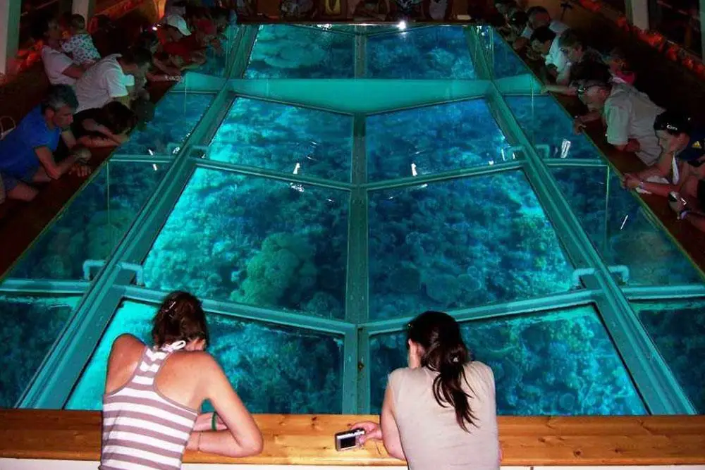 Glass Bottom Boat Tour in Sharm El Sheikh