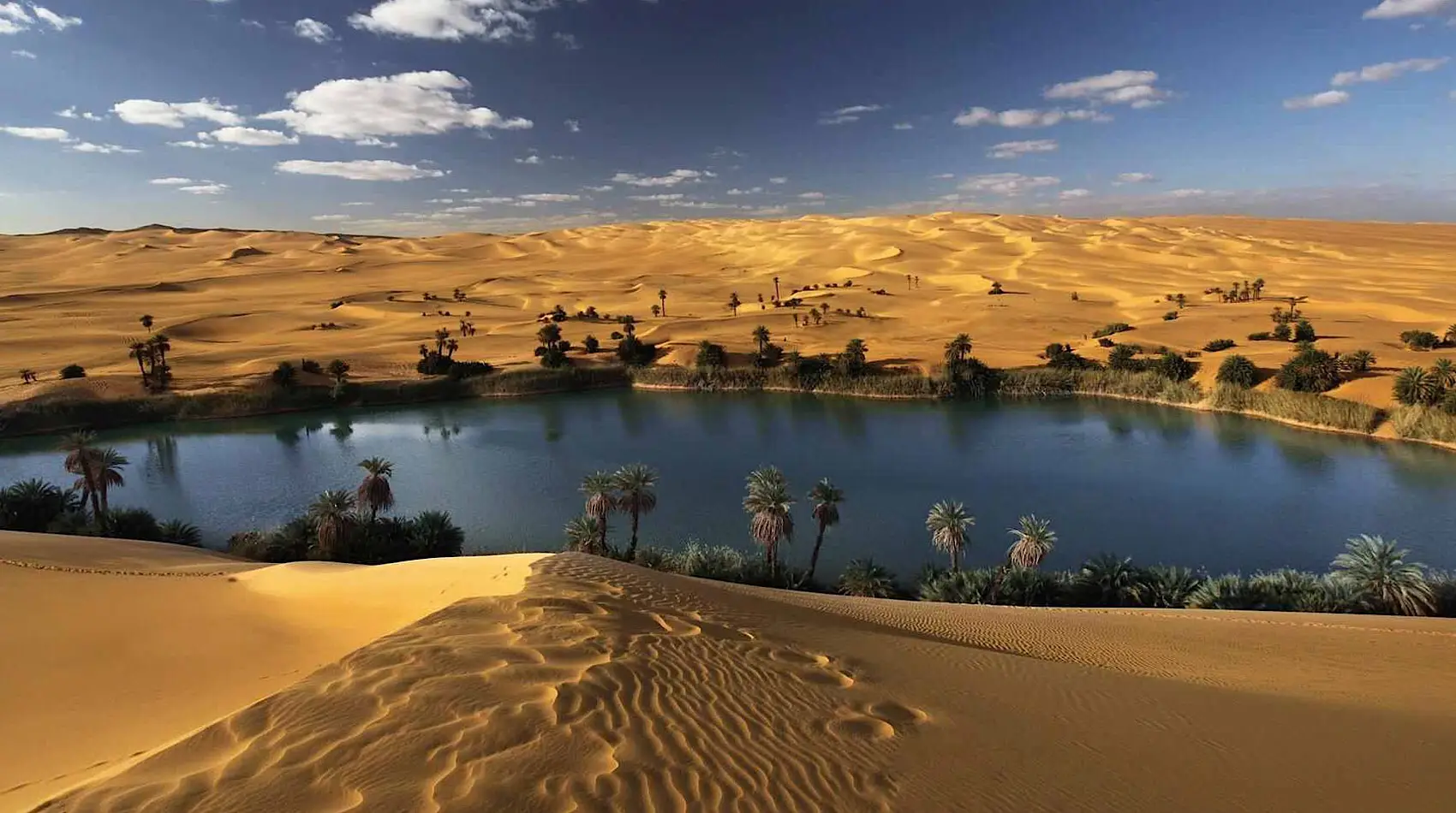 Bahariya Oasis desert camping tour