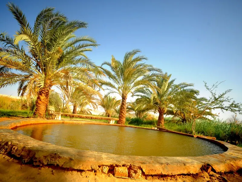 Explore Bahariaa with Bahariya Oasis White Desert Safari tour