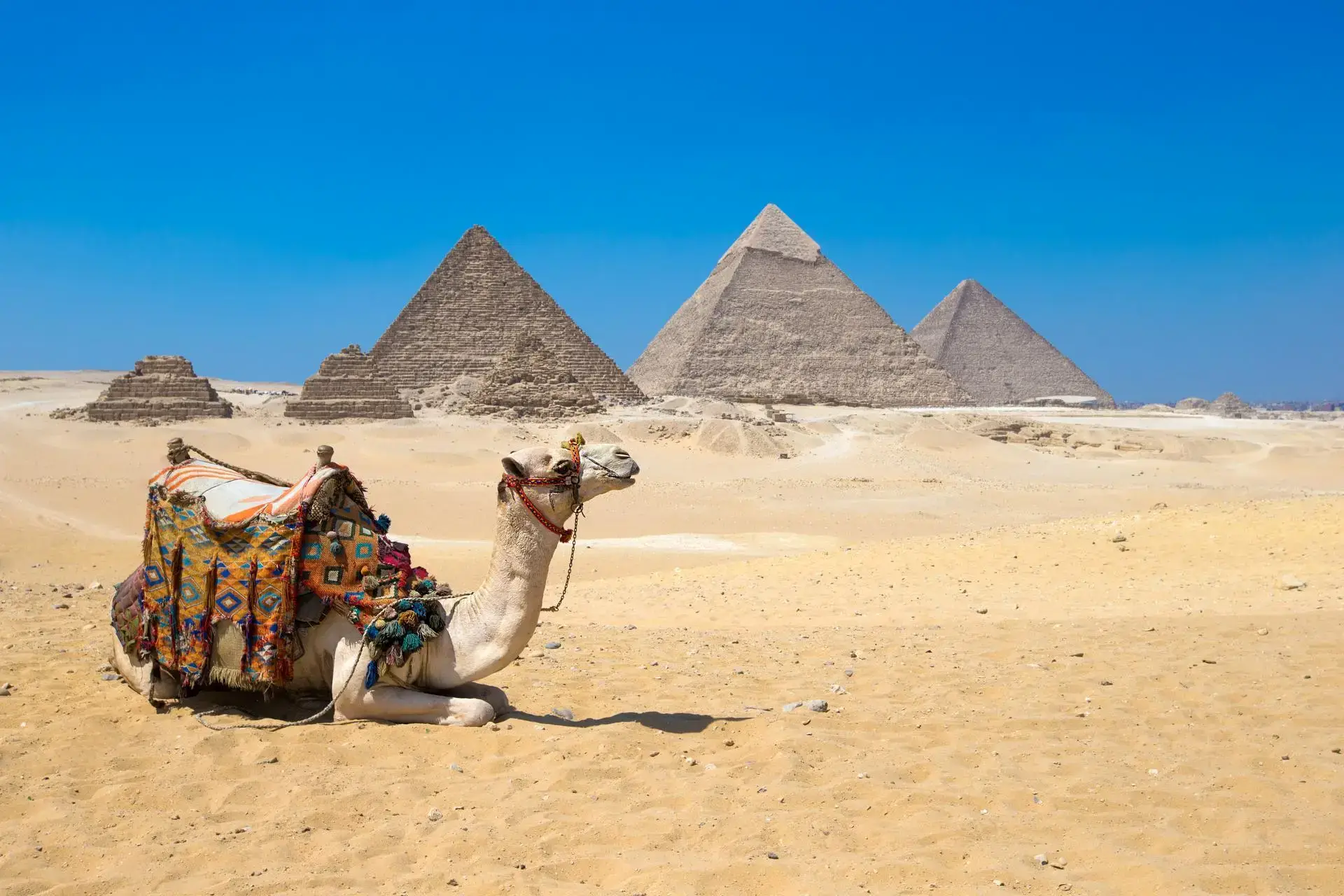 Giza Pyramids Cairo day tour experience