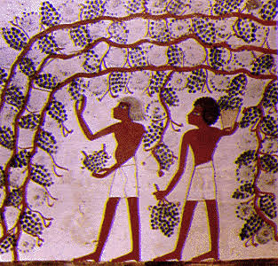 Planting in Ancient Egypt: How the Nile Shaped a Civilization