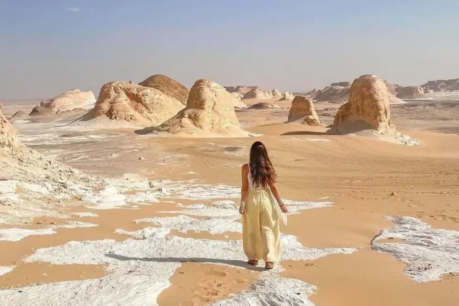 Siwa Oasis Bahariya and White Desert tour