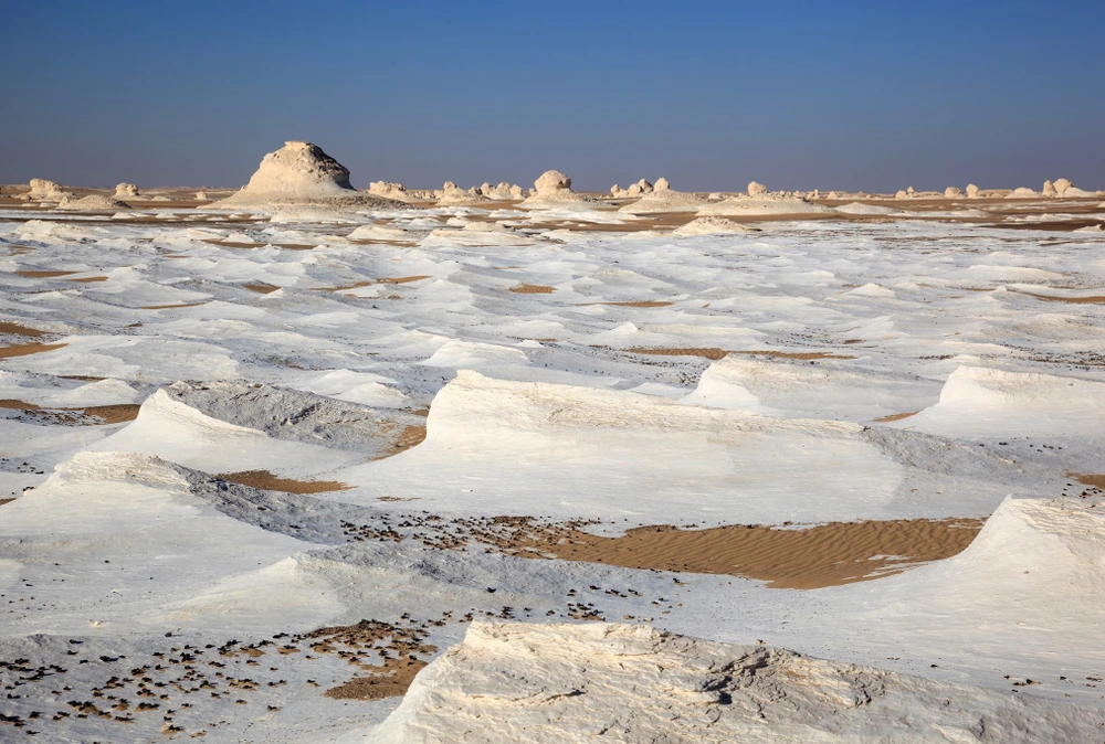 Desert Safari in White Desert National Park Egypt