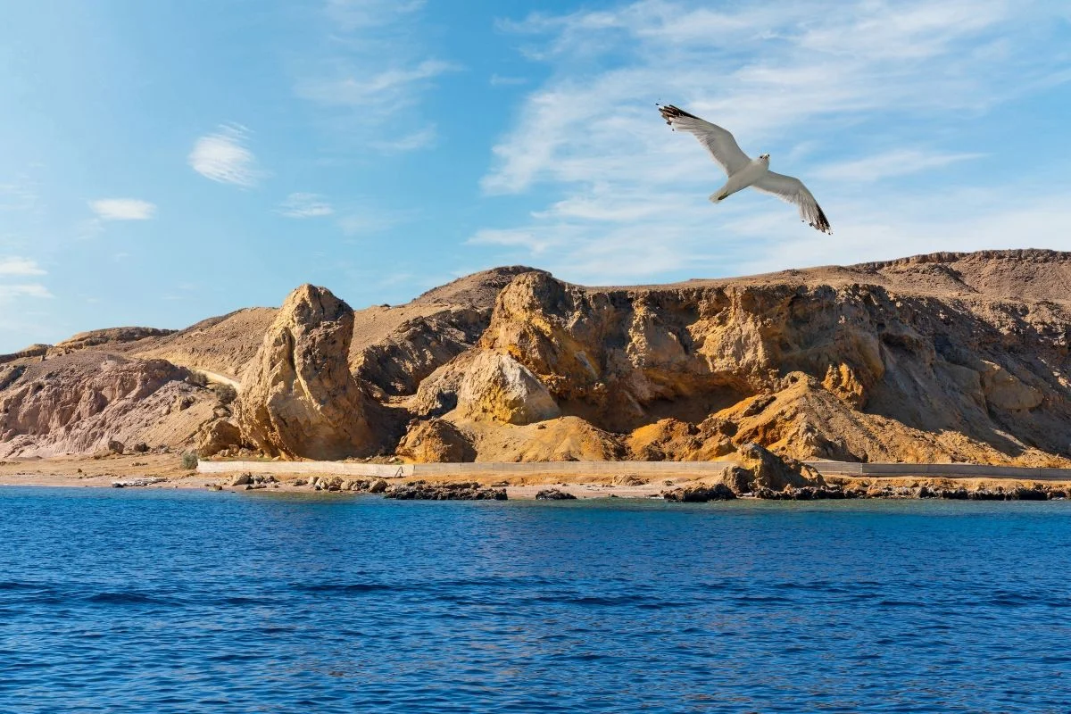 Ras Mohammed Sharm El Sheikh Tour