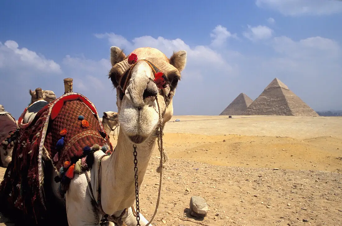 Giza Pyramids in an 8 day Egypt cultural tour Cairo Luxor Aswan