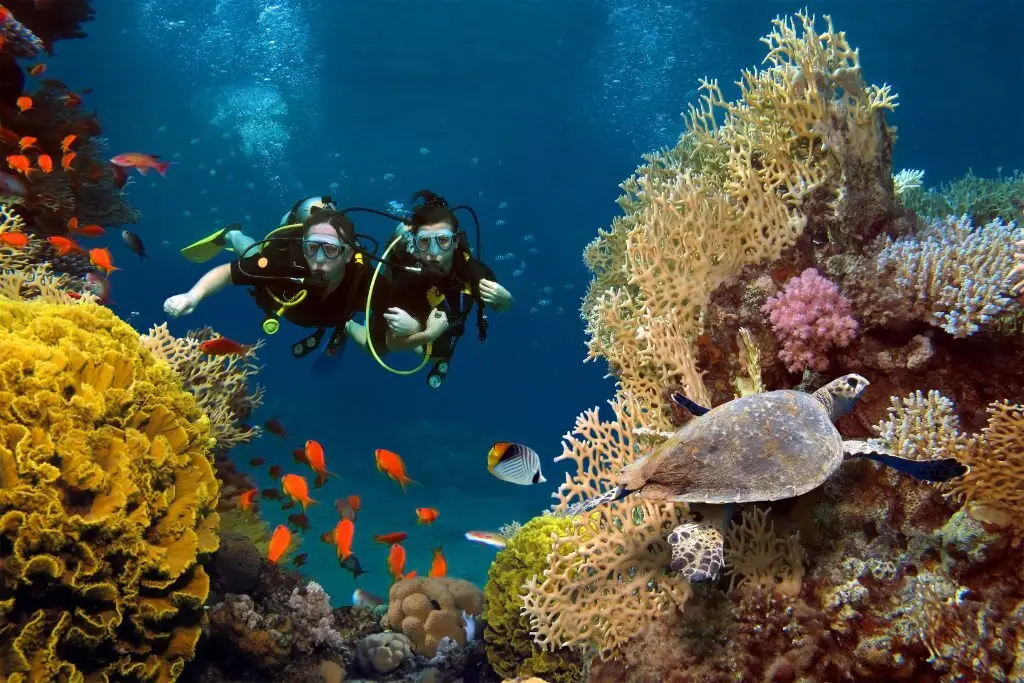 Snorkeling in Sharm El Sheikh on a private Cairo Sharm El Sheikh Egypt tour