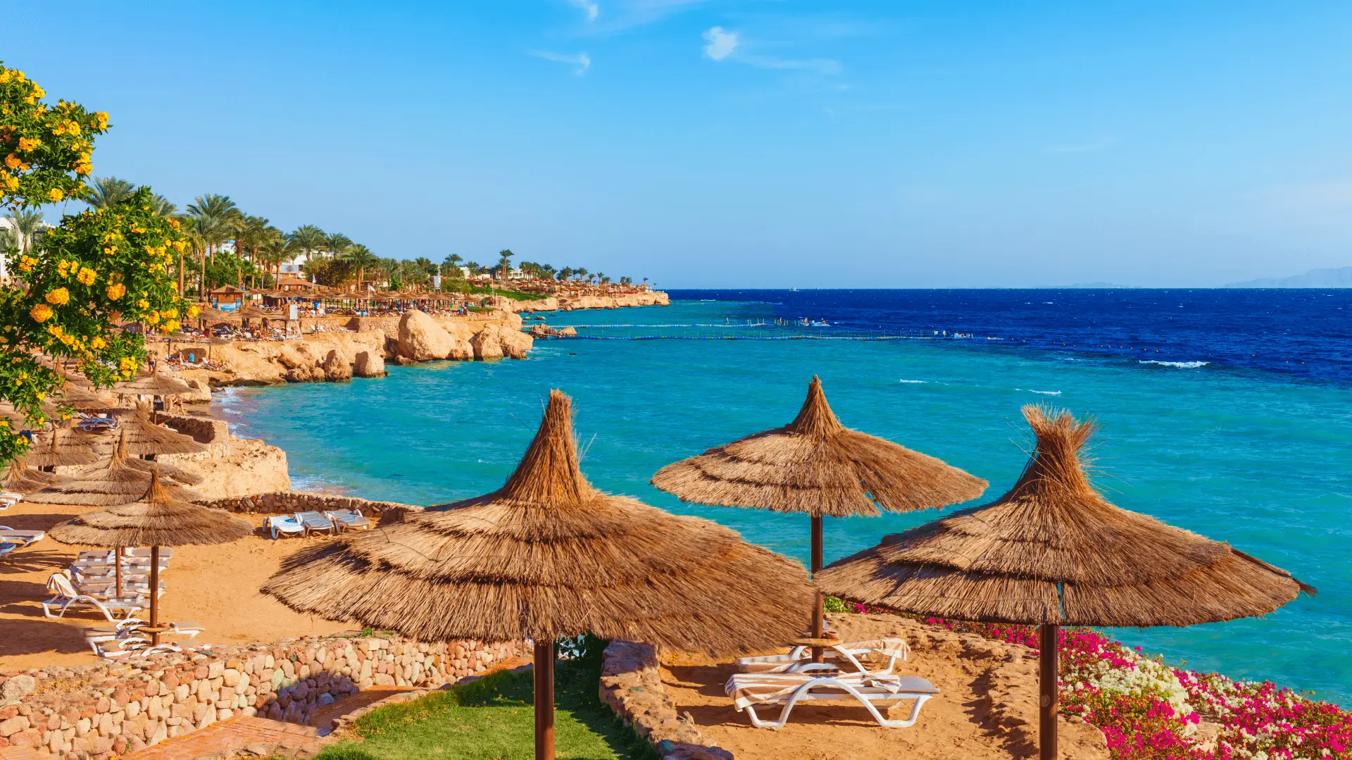 7-Day Cairo and Sharm El Sheikh Luxury Tour
