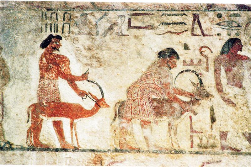 Alltag im Alten Ägypten: Bräuche, Gewohnheiten und soziale Normen