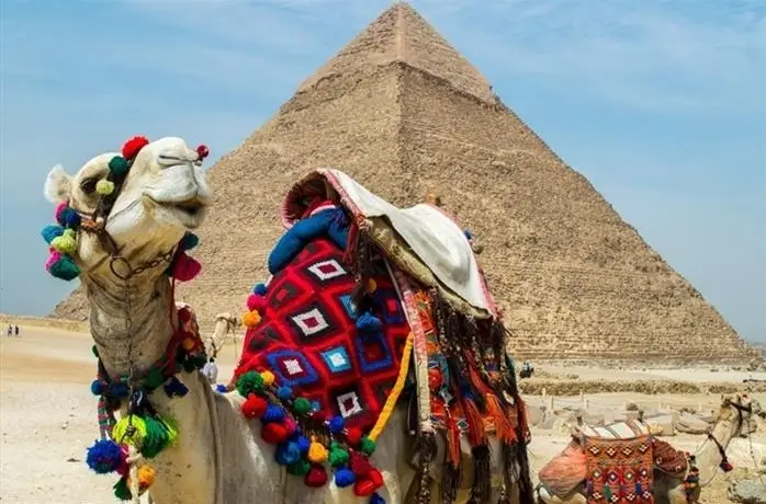 Giza Pyramid Christmas tour in Egypt