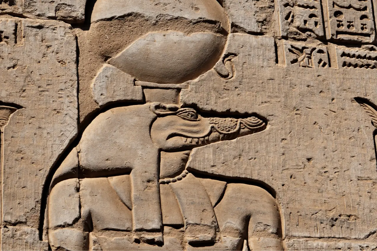 Temple of Kom Ombo during a Christmas tour in Egypt