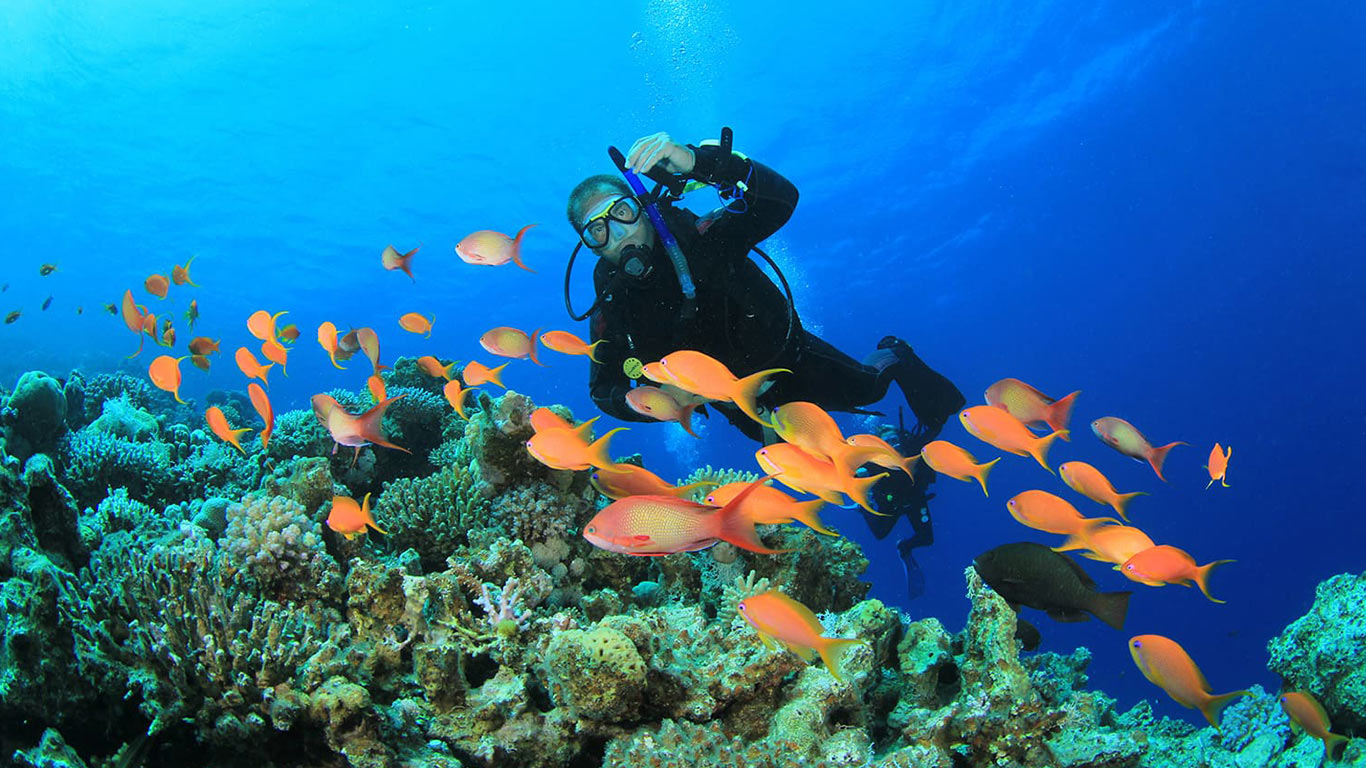 Le migliori cose da fare a Hurghada: spiagge, immersioni e altro