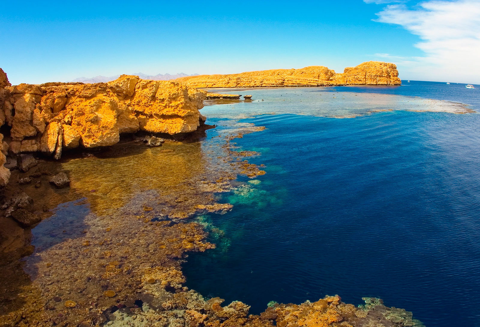 Parco Nazionale di Ras Mohammed: il paradiso dei sub