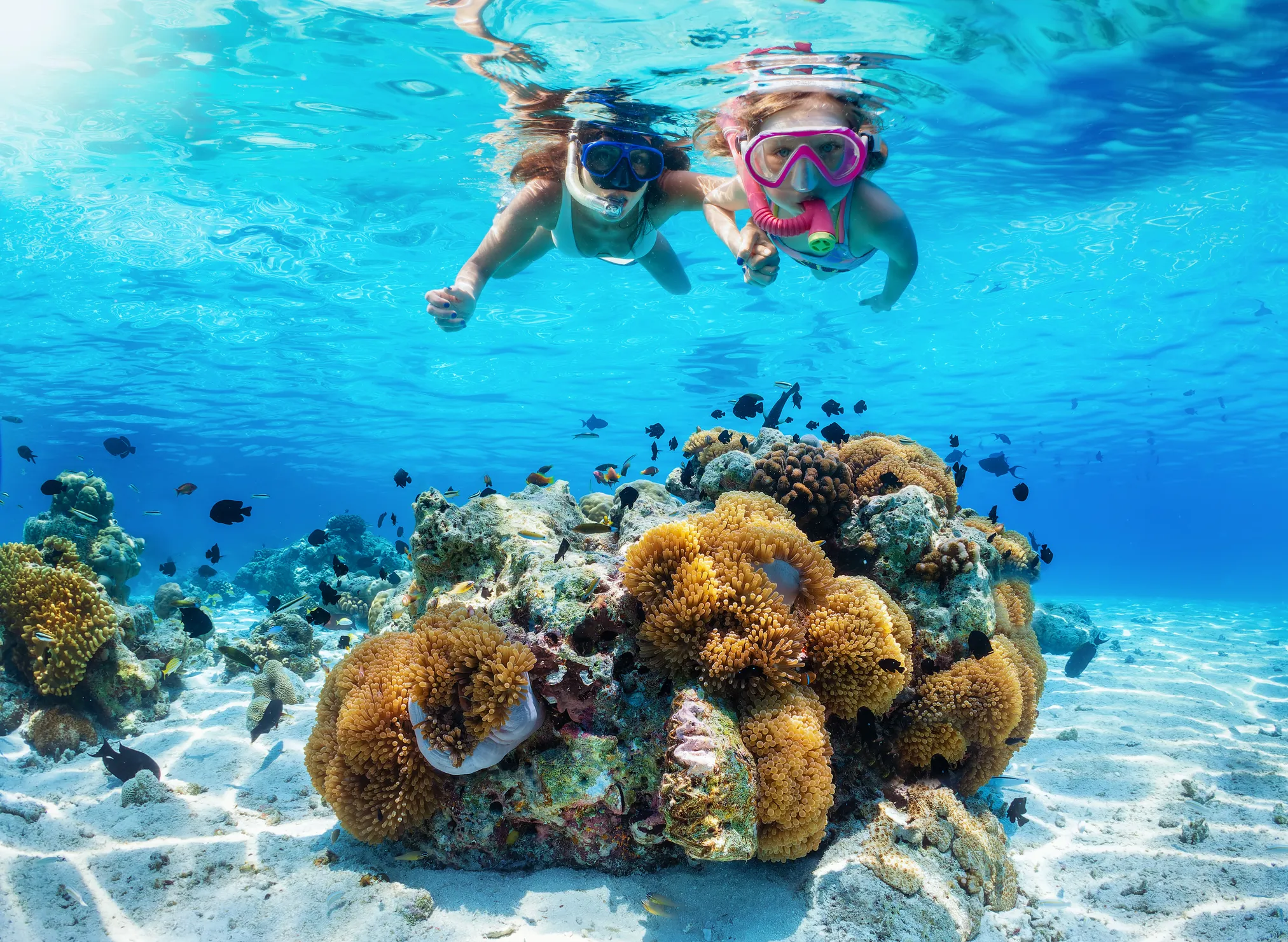 I migliori luoghi per immersioni e snorkeling a Sharm El Sheikh
