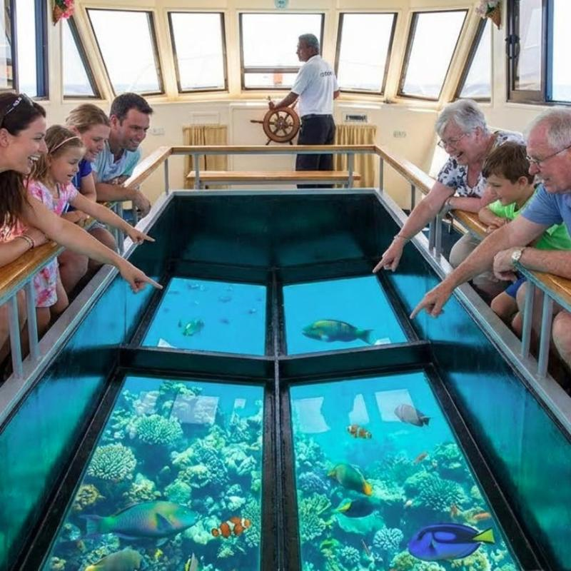 Tour in barca sul vetro da Sharm El Sheikh