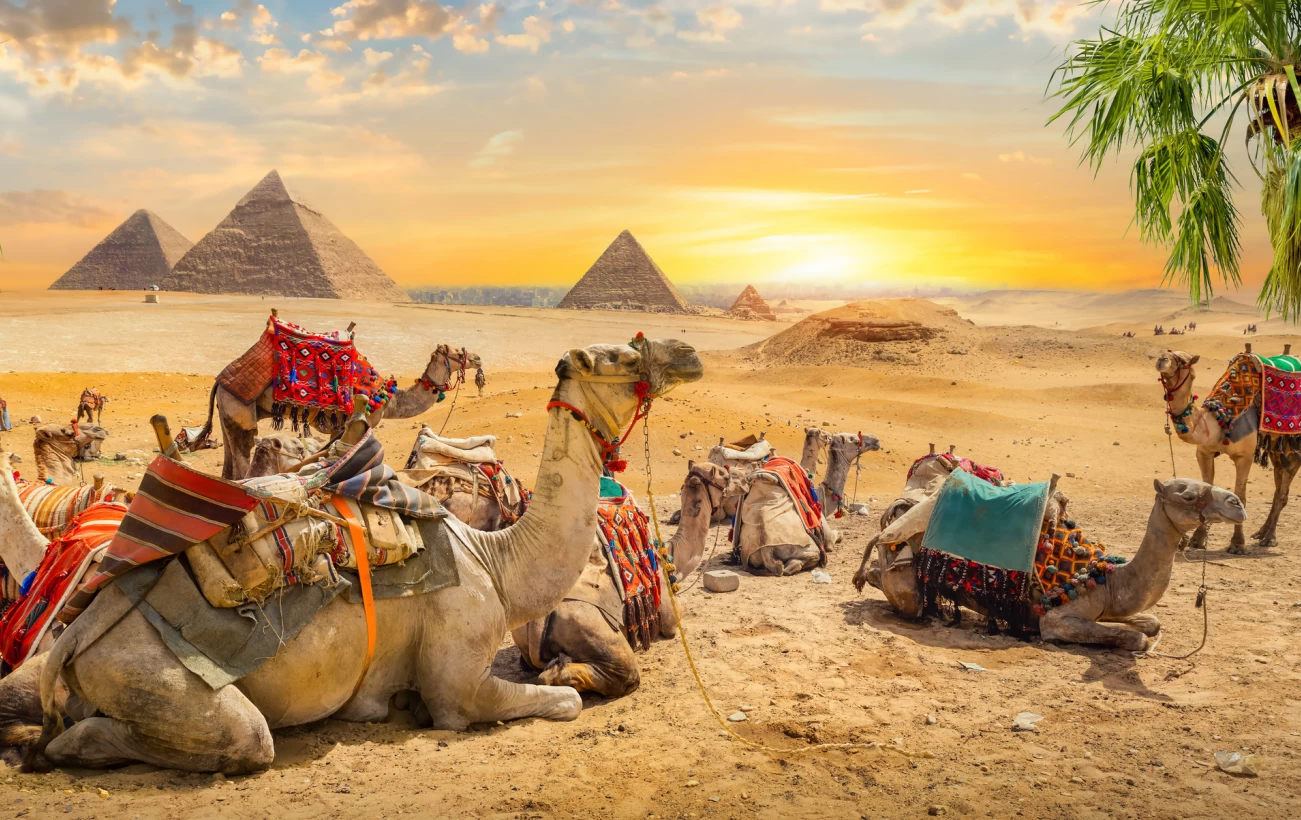 6 giorni al Cairo e l'avventura nel deserto bianco
