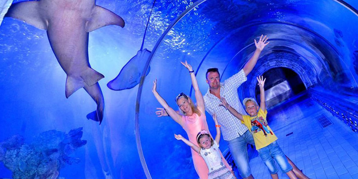 Tour del Grande Acquario di Hurghada