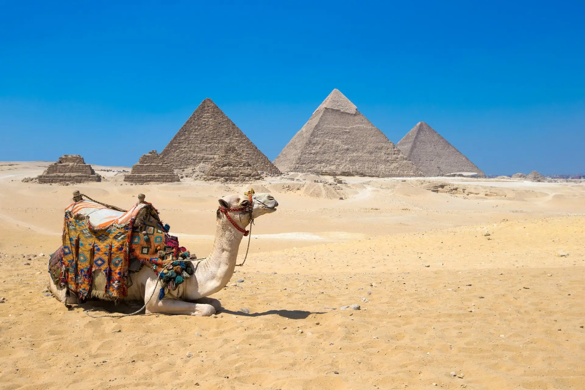 Egypt Day Tours & Excursions