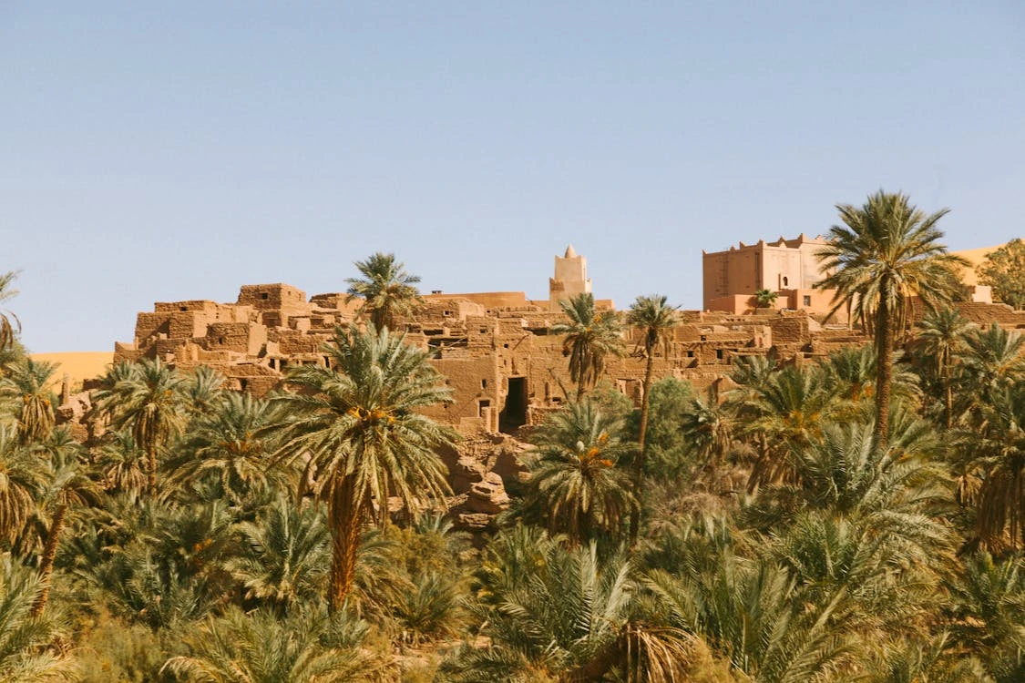 Fortaleza de Shali rodeada de palmeras en el Oasis de Siwa, Egipto.