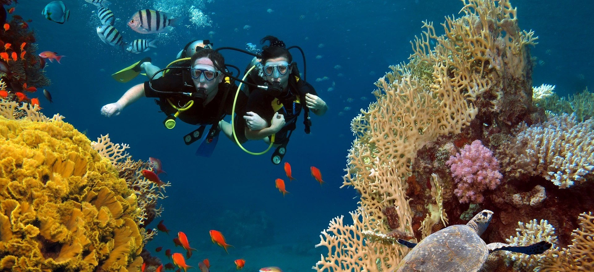 Dos buceadores explorando el fondo marino cerca de la isla Mahmya.