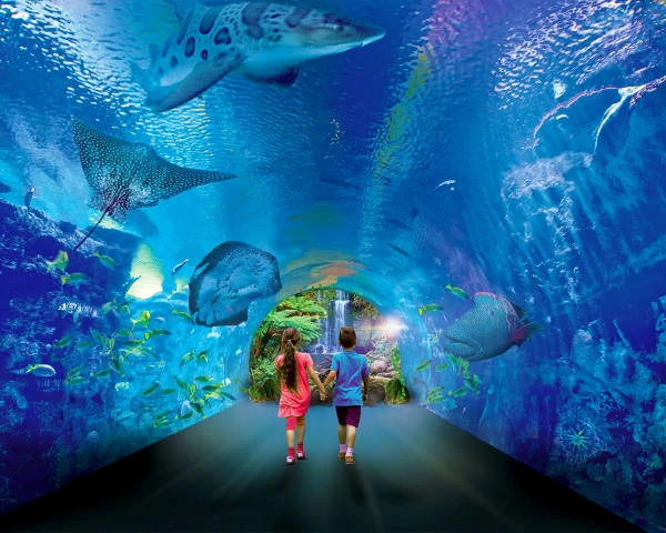Visitantes caminando por el túnel submarino rodeado de peces.