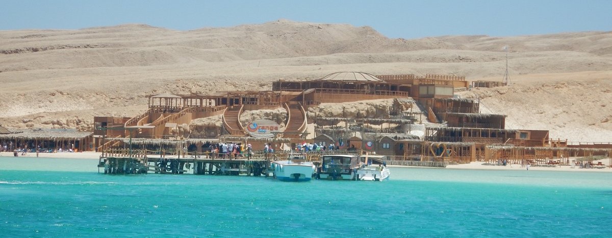 Dolphin House Hurghada: Schwimmen mit wilden Delfinen