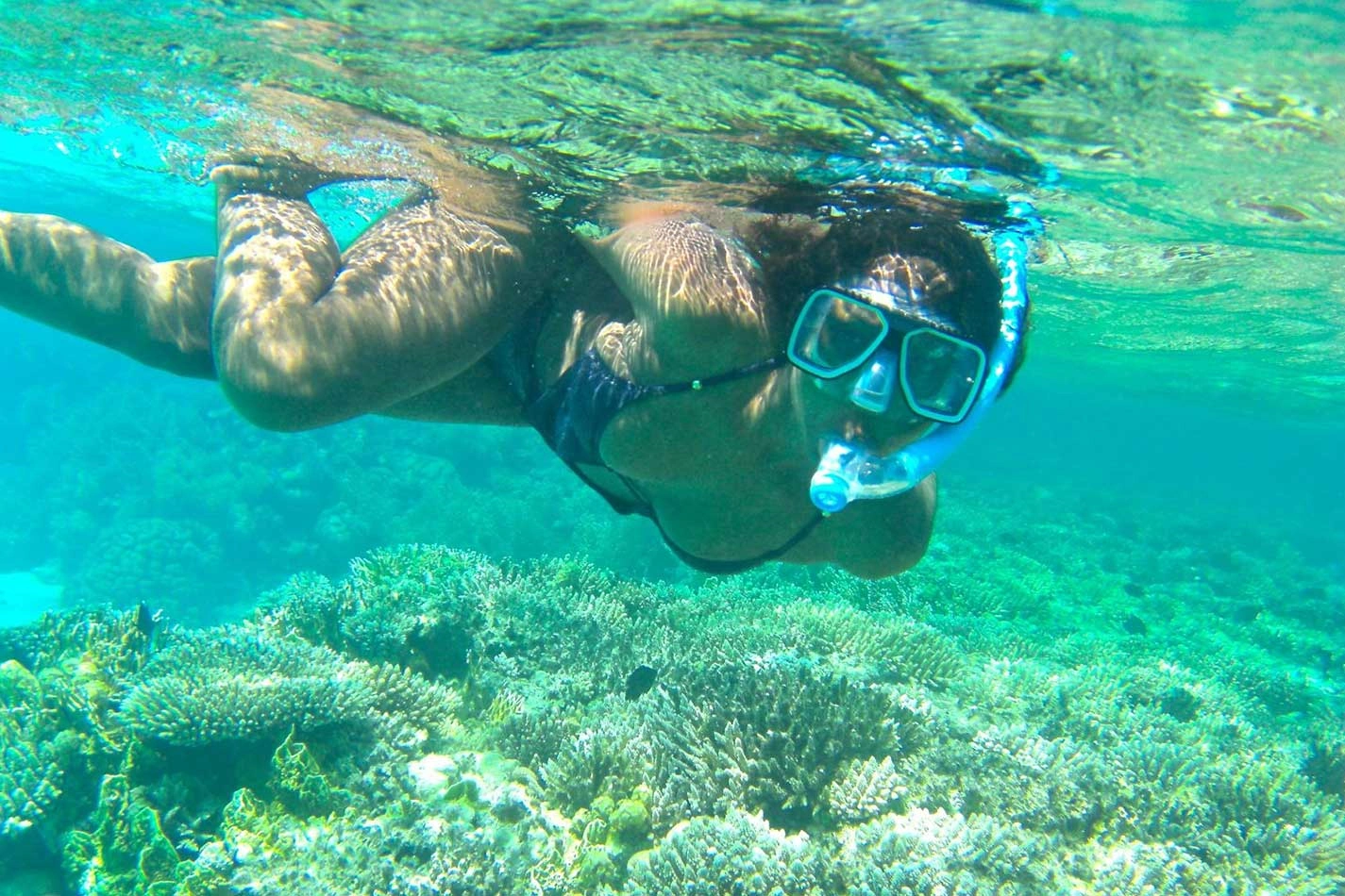 Snorkeler exploring colorful coral reefs in Ras Mohamed National Park