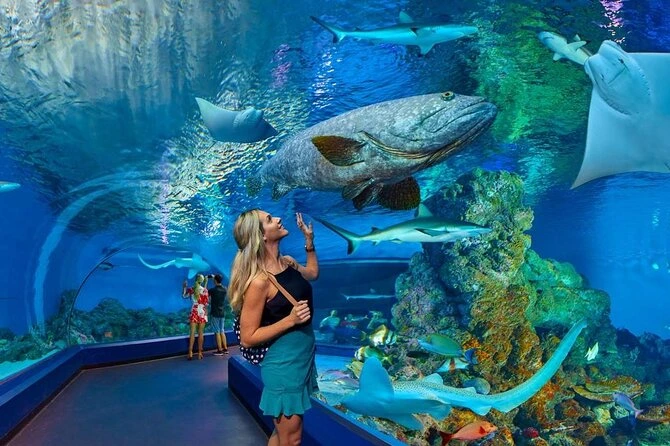 赫尔格达大水族馆之旅