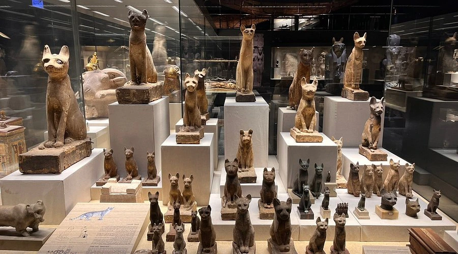 Sharm El-Sheikh Museum displaying ancient Egyptian artifacts