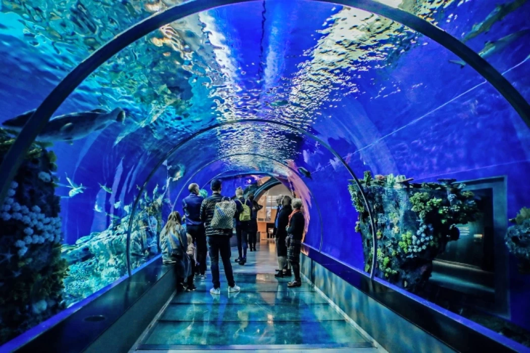 Visitors walking through the underwater tunnel at Hurghada Grand Aquarium surrounded by marine life.