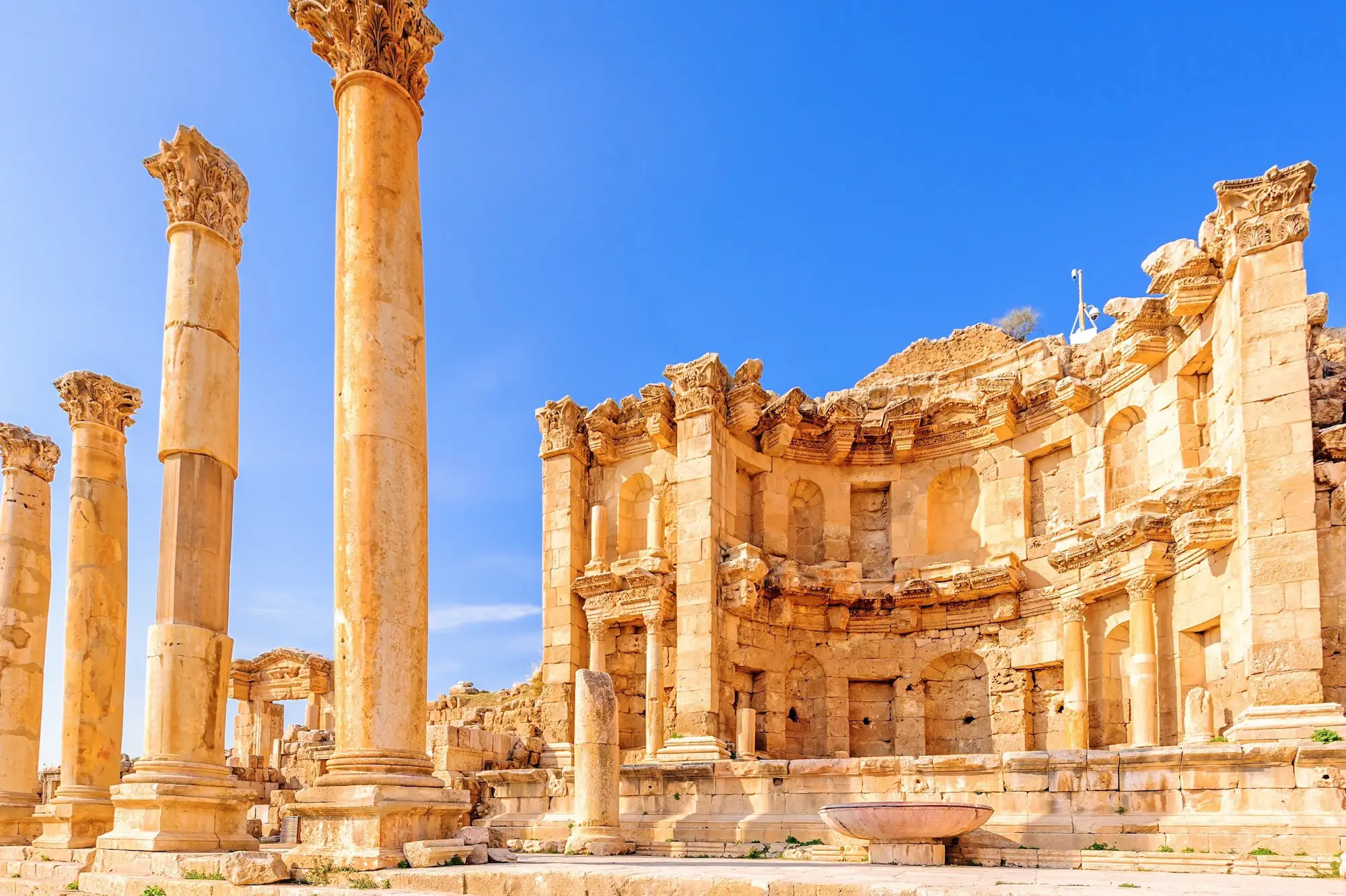 Jerash and Ajloun Day Trip from Amman