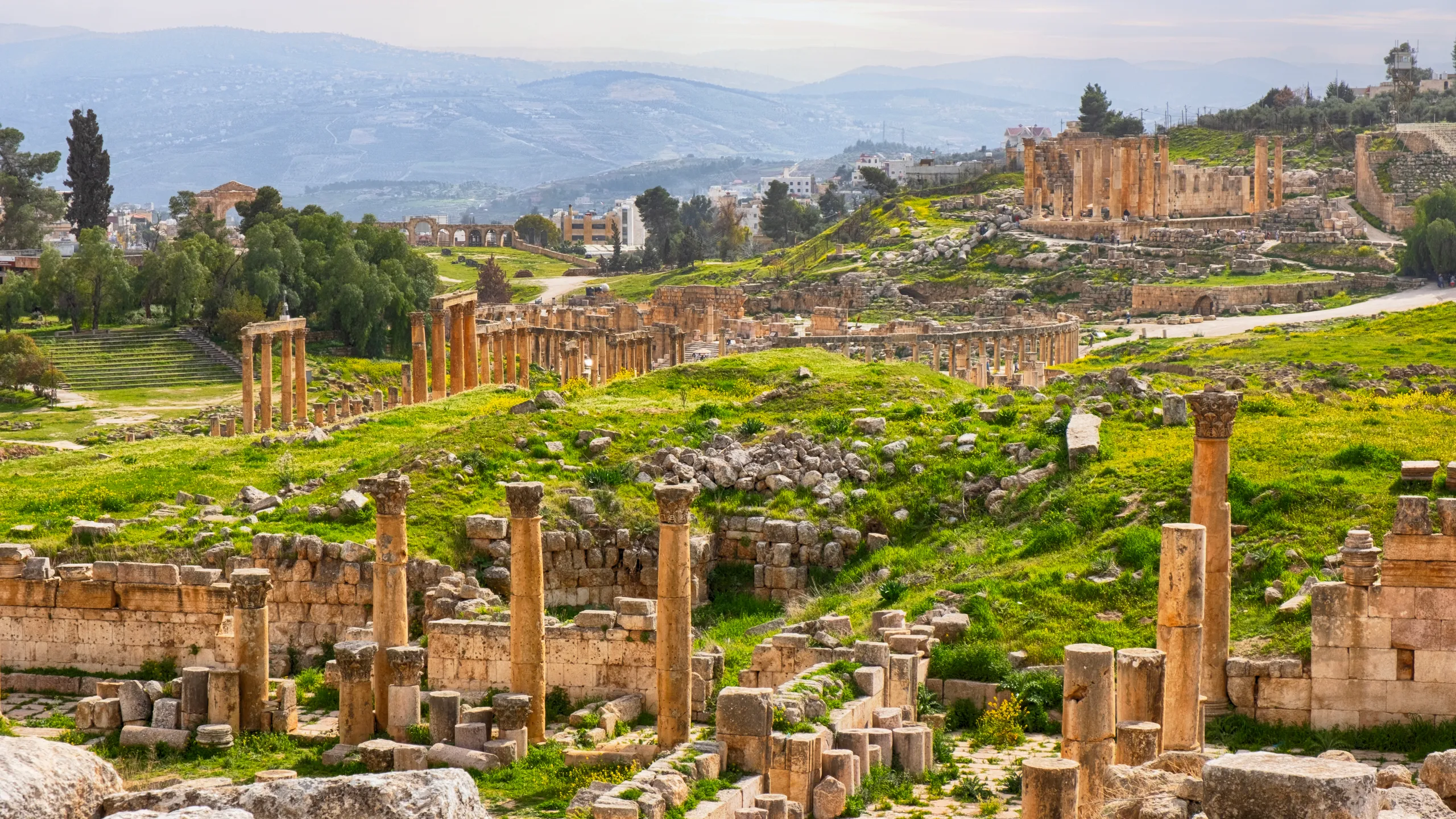 Jerash and Dead Sea Tour from Amman