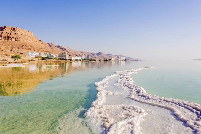 Jerash and Dead Sea Tour from Amman