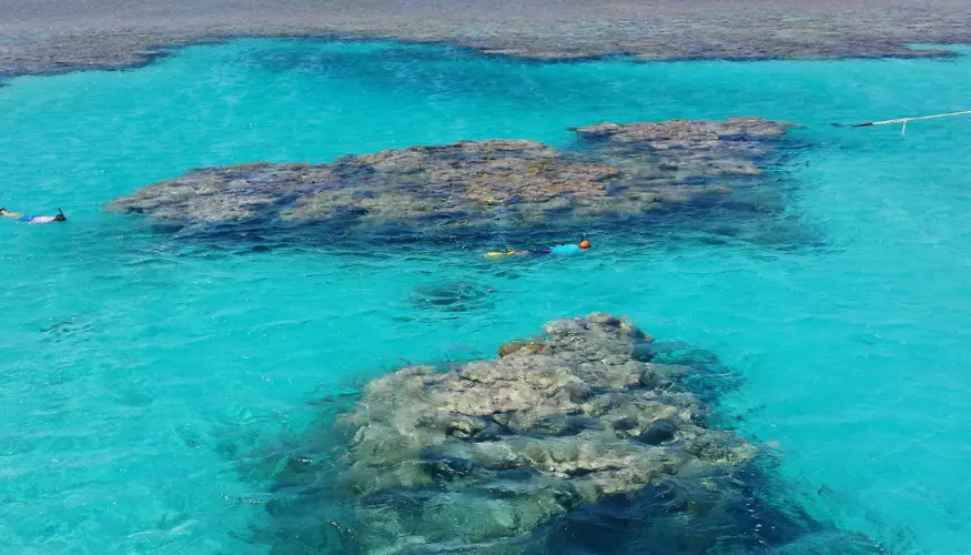 Explore Giftun Island in your Day tour from Hurghada