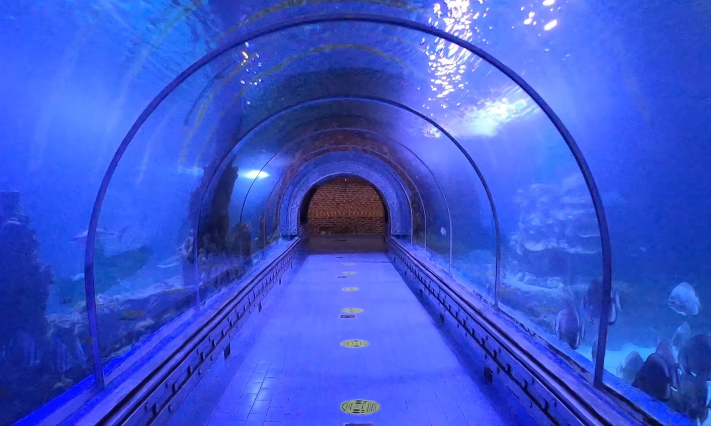 Leerer Glastunnel im Hurghada Grand Aquarium mit Fischen auf beiden Seiten